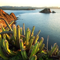 Seaside Landscape