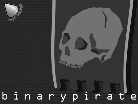 Binary Pirate - title, pirate, skull