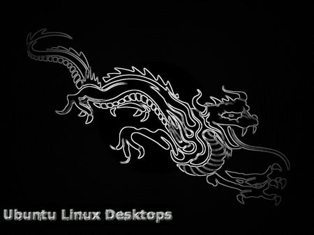 Black Chrome Dragon Ubuntu Desktop - black, ubuntu, dragon, chrome, desktop