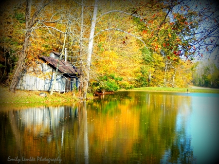 Autumn Reflections - Autumn, Water, Foliage, Fall, Reflection, Barn