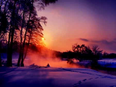 Winter sunset - sno, trees, winter, amazing, beautuful, beautiful, landscape, reflection, sunset, mist, frost, fiery, sky