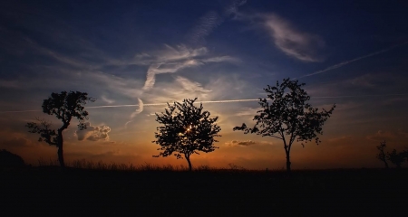 sunset - nature, fun, cool, sunset, field