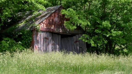 The Farm Bureau Shed - Missouri, abandoned, rustic, old, Green, Rural, Old Buildings, shed, country, Barn, decay, forgotten