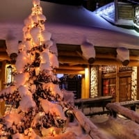 Heavy Snow On Christmas Trees