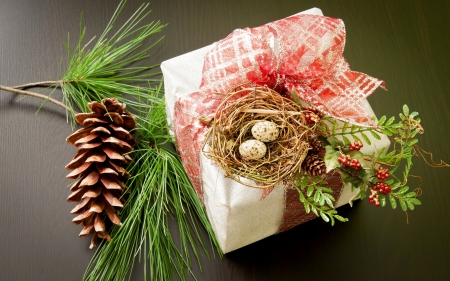 Christmas Gift - parcel, twig, pinecone, artwork