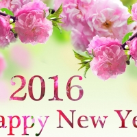 Happy New Year...2016