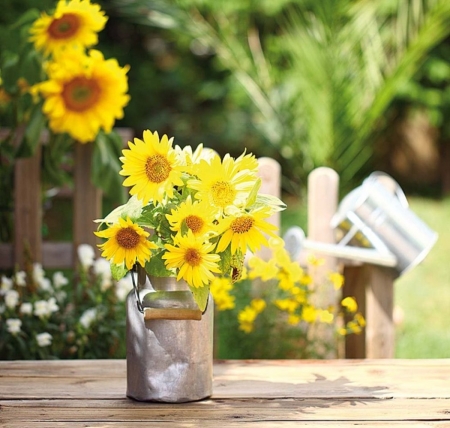 â™¥ - sunflowers, abstract, flowers, soft