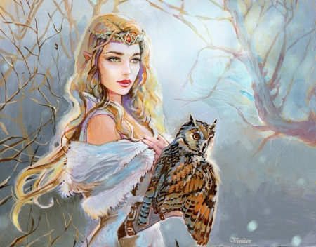 â™¥ - winter, art, owl, girl