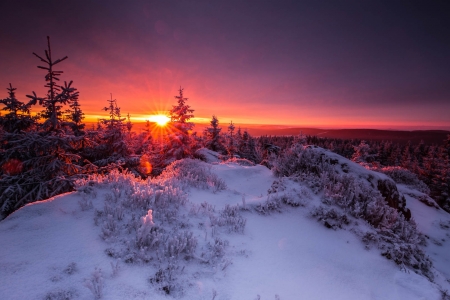 Winter magic light - winter, magic, amazing, beautiful, snow, photo, light, mountain, colorful, sunset, mountsin, sky