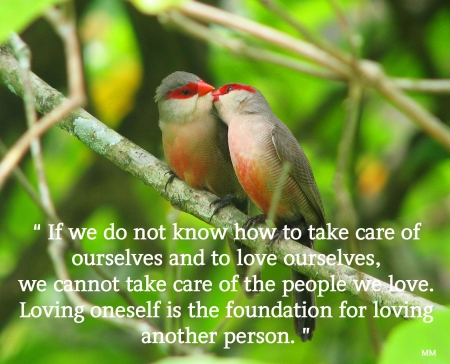 Take Care - nature, love, animals, thoughts, care, words, birds, quotes