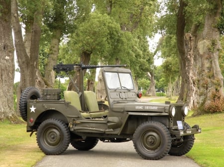 willys jeep - jeep, gun, tree, willys