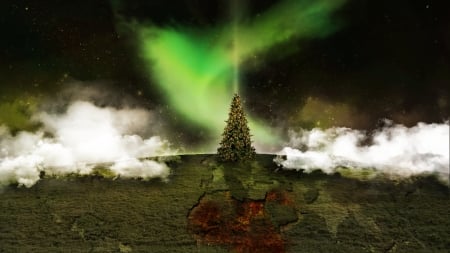 Christmas At War - aurora, world, syria, africa, war, Christmas, tree, peace