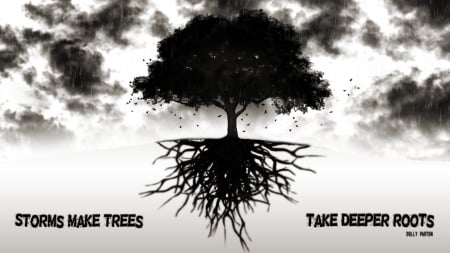 Root Stand - take, trees, storms, roots, make, deeper