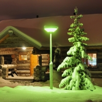 Green Lamp on snowy Trees