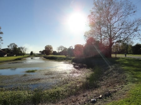 Laurel Valley Rd - pretty, nature, sunshine, lake, old houses