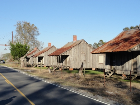 Laurel Valley Rd - old houses, nature, pretty, perfectshot, louisiana, thibodaux