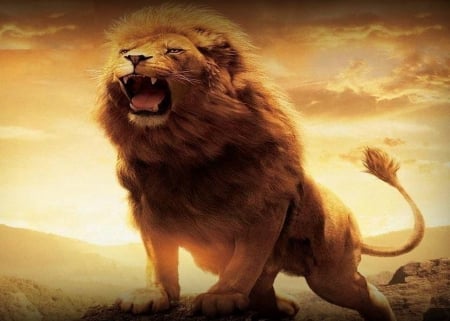 king of kings - roar, lion, majastic, beast, king