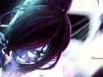 Erza Scarlet Fairy Tail