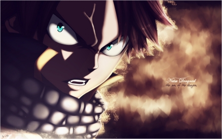 Natsu Dragneel Fairy Tail