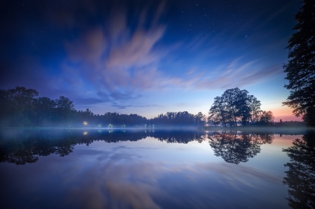 Call Of the Dawn - nature, sky, tree, blue