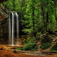 forest waterfall