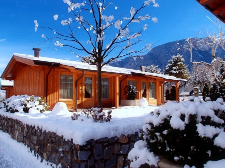 Winter bungalow - winter, bungalow, frost, house, tree, snow