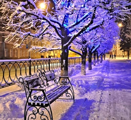 Winter Park at Night - winter, park, bench, snow