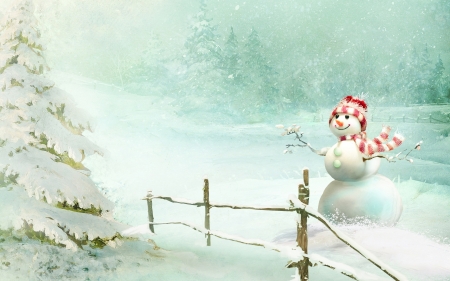 Christmas Snow man - holidays, snow, man, christmas, happy