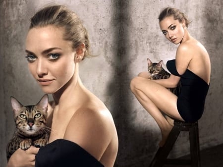 Amanda Seyfried - Seyfried, beautiful, Amanda, actress, cat, 2015, kitten, model, Amanda Seyfried, wallpaper