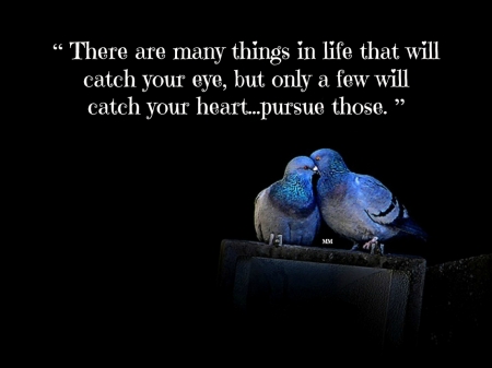 Pursue - love, heart, animals, thoughts, words, birds, quotes