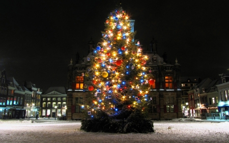 Holiday Fir - nature, fir, nighttime, holiday, tree, ornaments, lights