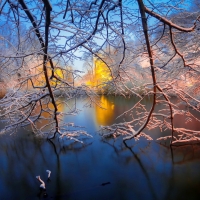 Park in winter