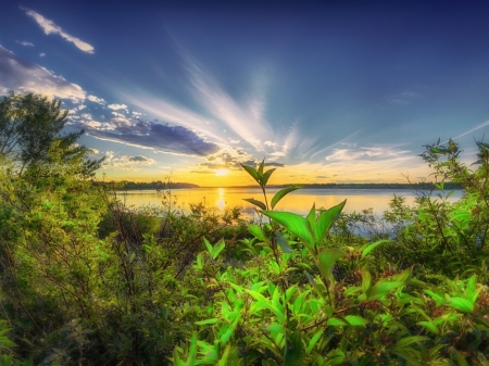 Lake Sunset - lake, reflection, clouds, trees, sunset, nature