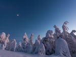 Snow Monuments