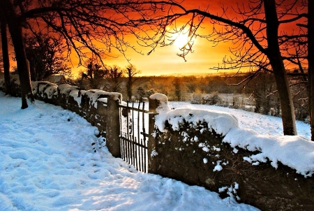 Winter Sun - Winter, Snow, Sun, Nature