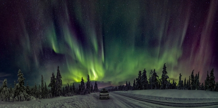 Aurora In Lapland - nightscape, winter, snow, aurora, northern, lights, green, landscapes, panorama