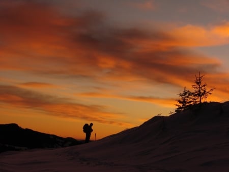 Lonely - winter, nature, sunset, snow