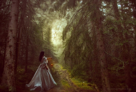 Magical Forest - woman, princess, beauty, female, photography, fantasy, art, pretty, lantern, figure, lady, serene, girl, lovely, forest, photoshop, beautiful, digital