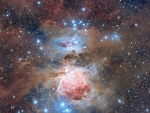 Dust of the Orion Nebula