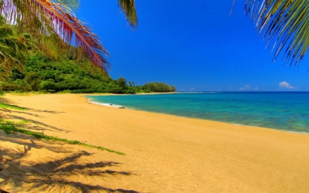 Wonderful Beach - sea, trees, sand, beach