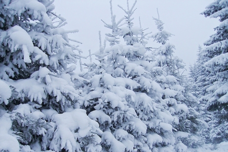 Winter in Maramures - Romania, iarna, in, Maramures