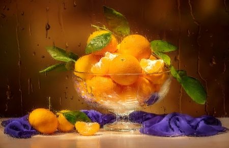 Still life - pretty, veil, beautiful, drops, wet, still life, leaves, oranges, yummy, fruits