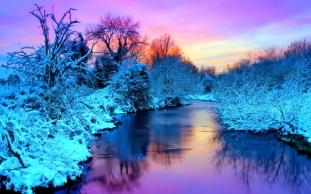 Frozen Lake - trees, frozen, winter, sunset, nature, snow, lake, reflection