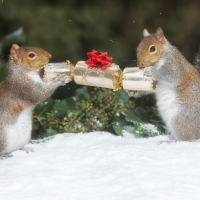 Shering a Christmas candy