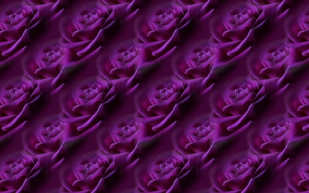 Texture - purple, pink, paper, pattern, texture, rose, flower