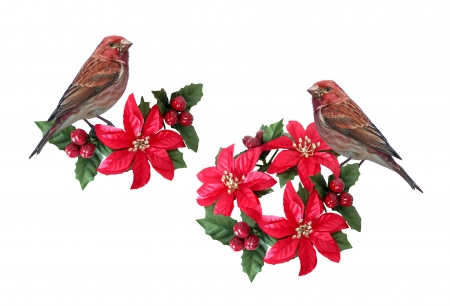 Holy and purplefinch - bird, mistletoe, moril, flower, christmas, white, craciun, red, green, holy and purplefinch