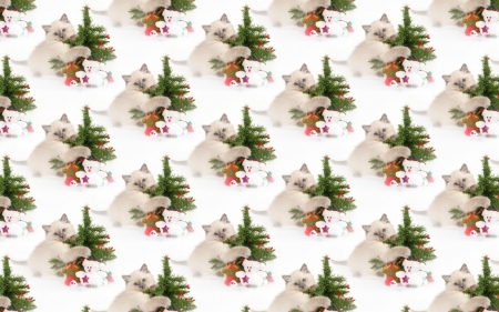 Kitten texture - paper, pattern, animal, cat, craciun, christmas, white, kitten, texture, tree, green