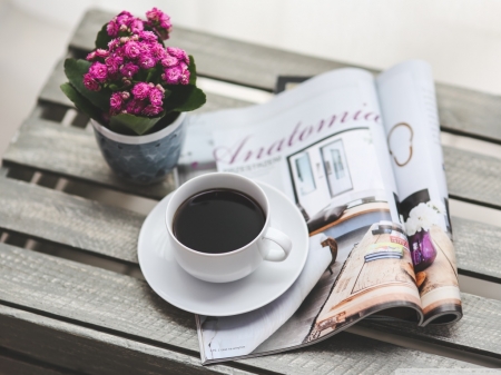 Morning - drink, flowers, drinks, coffee, morning, magazine