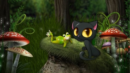 Black Cat and Frog - mushrooms, cat, frog, summer, big eyes, spring, woods, forest, grass