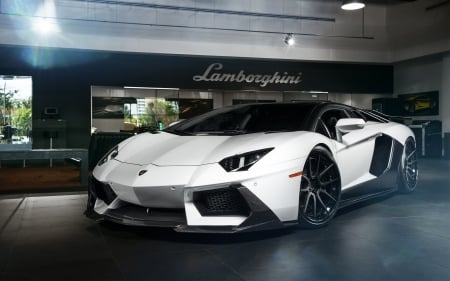 Lamborghini Aventador - fast, white, aventador, laborghini